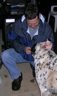 Bach Flowers for Oscar