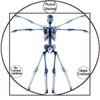Whole Body Chiropractic