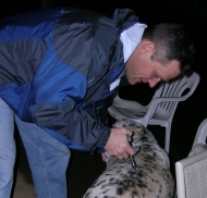 Oscar gets an adjustment